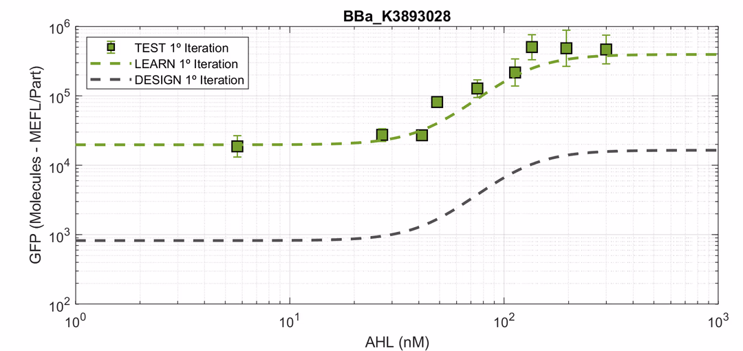 Plot with the results of the stages of the DBTL cycle for characterization of pLux Promoter
