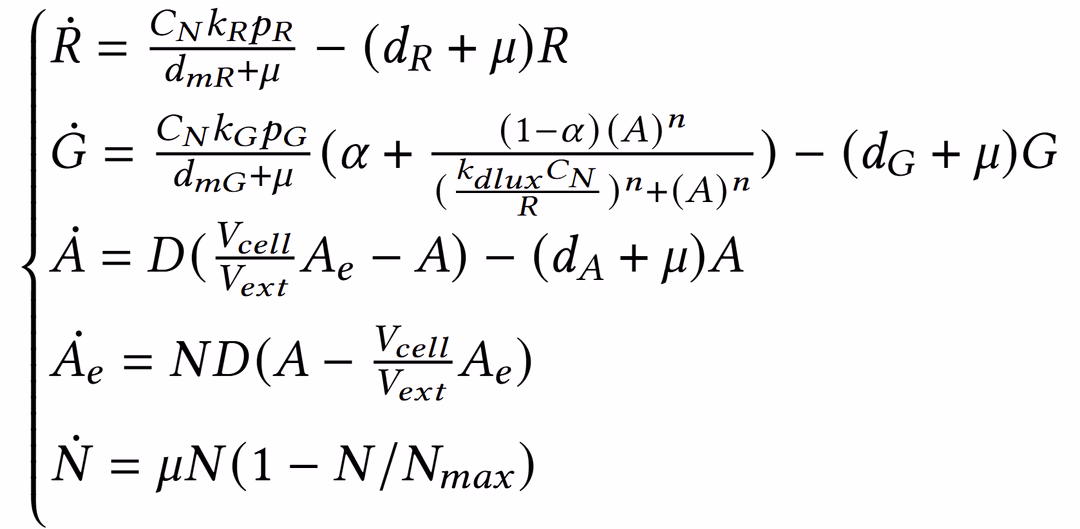 Mathematical model